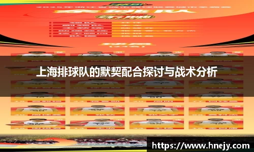 智博19